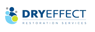 Dry Effect logo