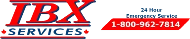 IBX Services logo