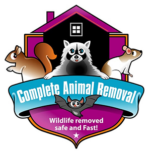 Complete Animal Removal